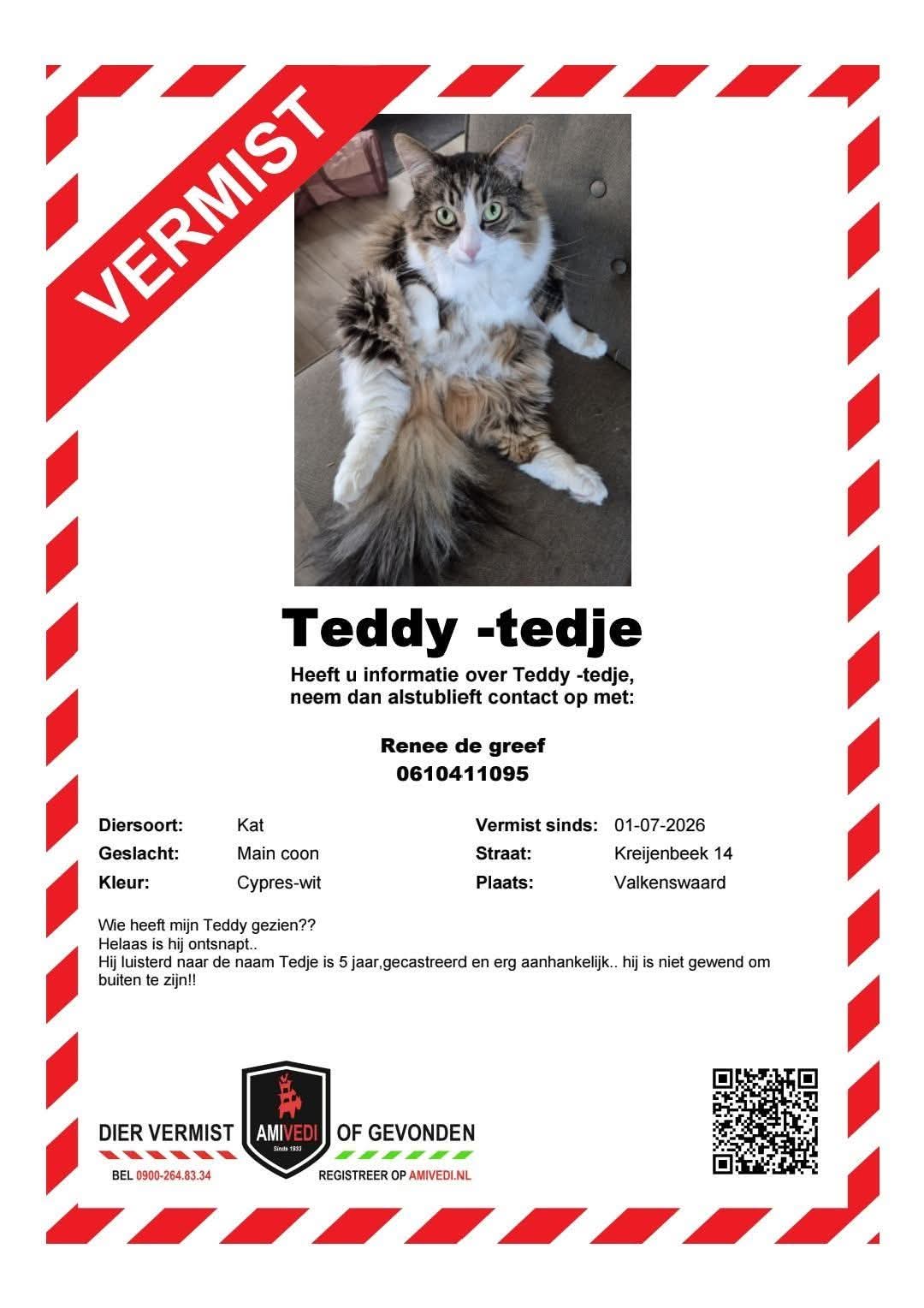 Foto bij: VERMISTE KAT ( UIT DE FB GROEP )