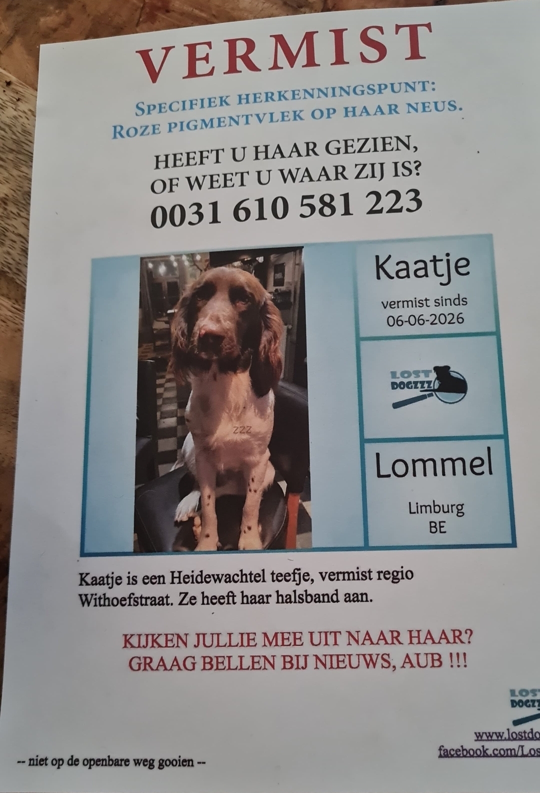 Foto bij: ⚠️ HOND KAATJE IS ONTVOERD !!! ⚠️