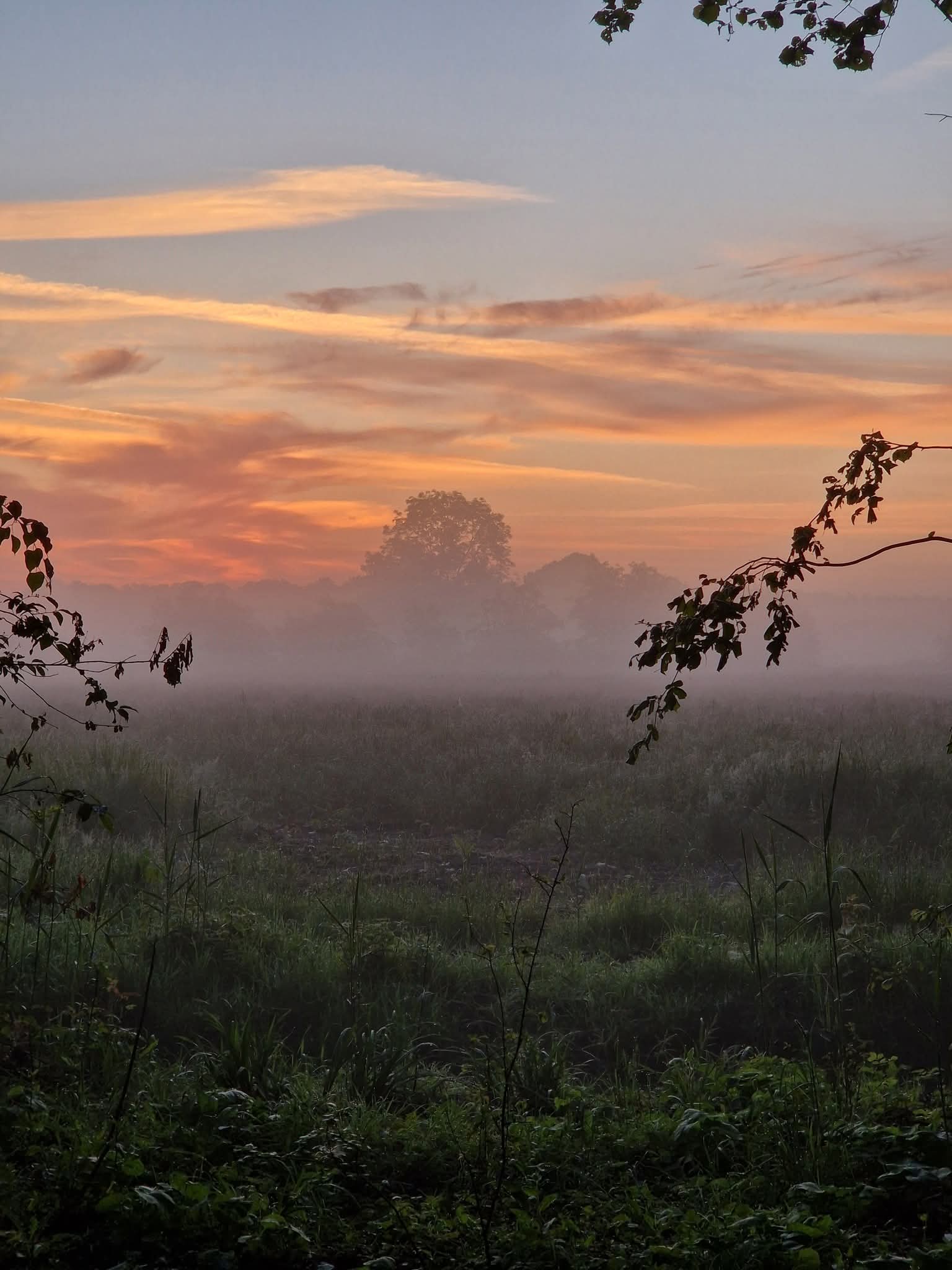 Foto bij: Foto gemaakt door Susanne Hoogers